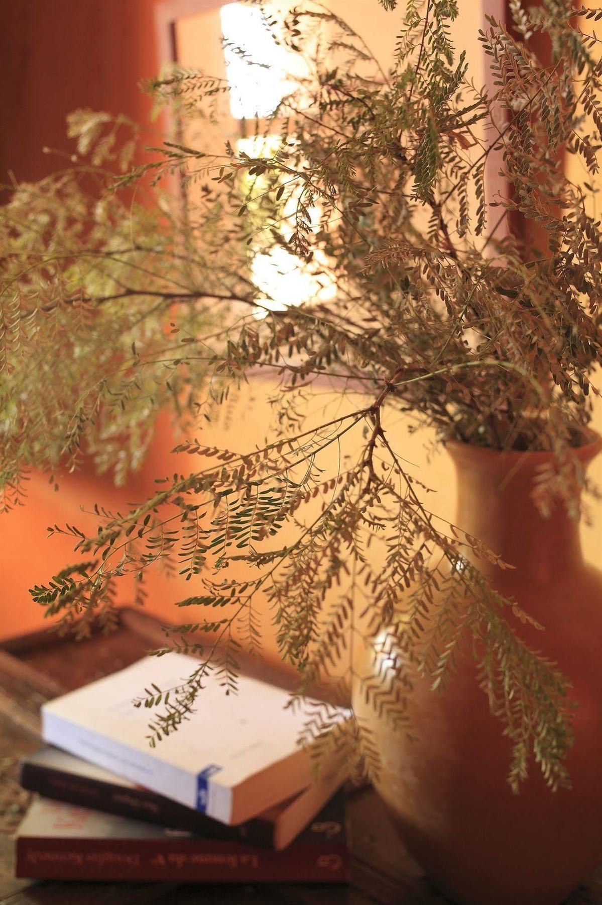 Le Jardin Des Douars Bed and Breakfast Al Ghar Buitenkant foto